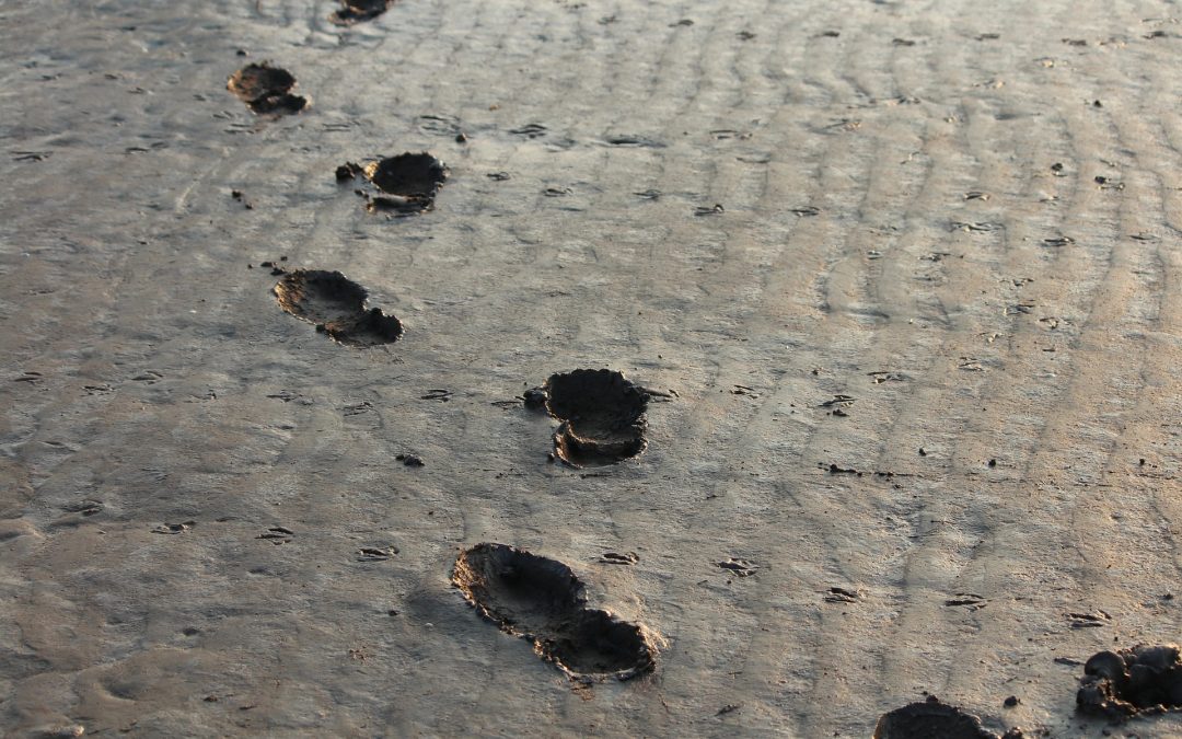 met de voeten in de klei footprints - communicatie voor jou